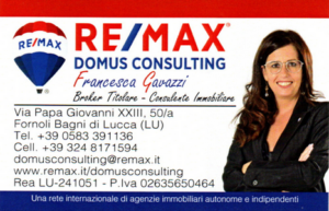logo Remax2
